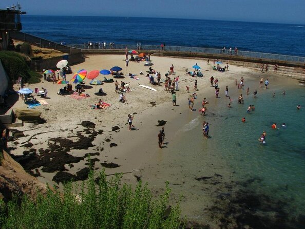 1.5 Hour Walking Tour from La Jolla in San Diego - Key Highlights You’ll Actually Feel