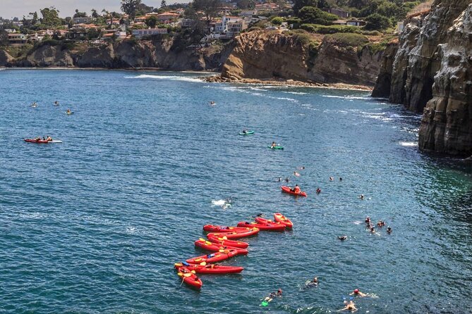 1.5 Hour Walking Tour from La Jolla in San Diego - Where It Ends: Art Gallery Finish Within Walking Distance