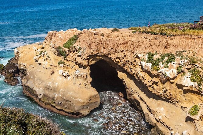 1.5 Hour Walking Tour from La Jolla in San Diego - La Jolla Cove: The View, the Life, and the Ice Cream