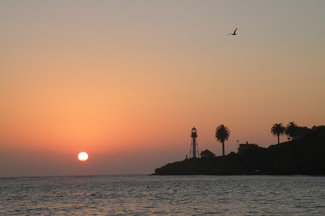 2.5-Hour Small-Group Catamaran Sunset Sail with Drinks - Point Loma at golden hour: the side of the bay you remember