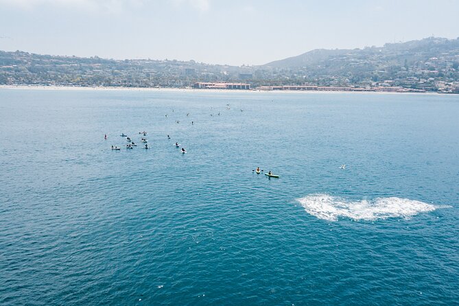 2 Hour Whale Watching Kayak Tour for Two - La Jolla from the water: why kayaking beats a boat ride