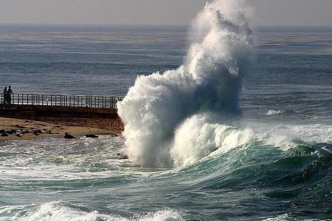 A Local’s Guide to La Jolla’s Sights: A Self-Guided Urban Stroll - Children’s Pool: Ellen Browning Scripps’ Legacy in Plain Sight