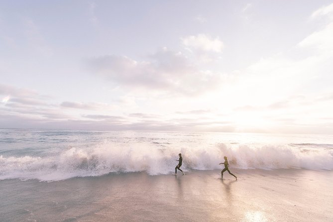 A Local’s Guide to La Jolla’s Sights: A Self-Guided Urban Stroll - Ellen Browning Scripps Park: The Snack-and-Read Pause