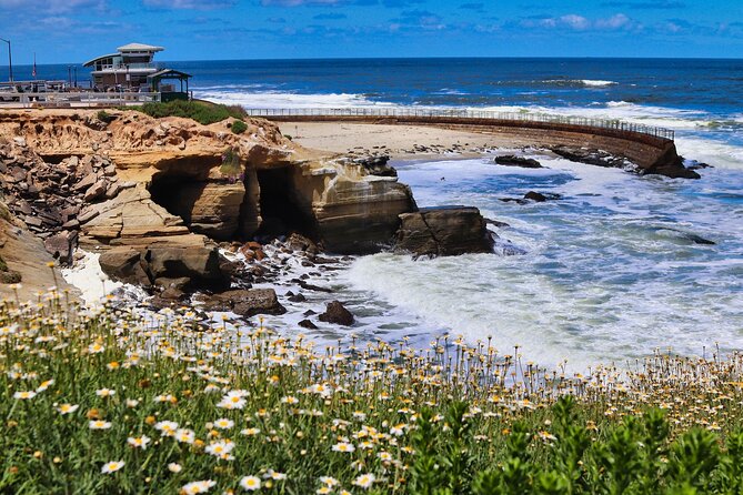 A Seaside Stroll: La Jolla's Hidden Treasures Self-Guided Tour - La Jolla Cove: birds, marine life, and the right kind of pause