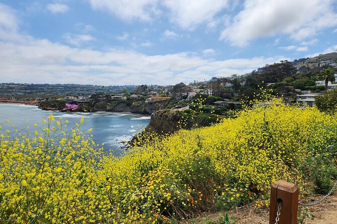 A Seaside Stroll: La Jolla's Hidden Treasures Self-Guided Tour - Children’s Pool and La Valencia: history you can stand next to