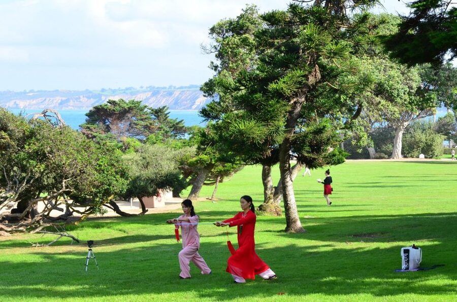 A Seaside Stroll: La Jolla's Hidden Treasures Walking Tour - La Jolla Coast Walk is made for a phone-led stroll