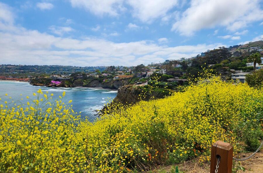 A Seaside Stroll: La Jolla's Hidden Treasures Walking Tour - Sunny Jim Cave and the secret staircase story