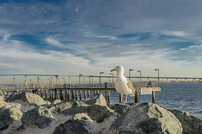 All Day San Diego Scenic Tour - Stop 2: Pacific Beach (25 minutes) and that beach-neighborhood energy