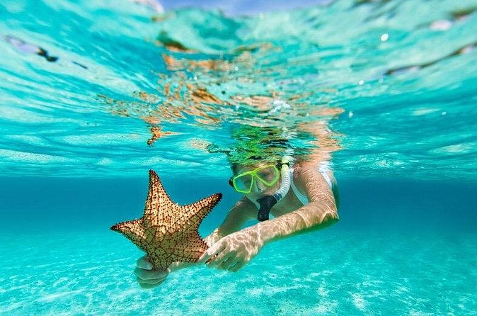 All Day Snorkel Package with Wetsuit Rental - Cold-water gear: why the wetsuit isn’t optional here