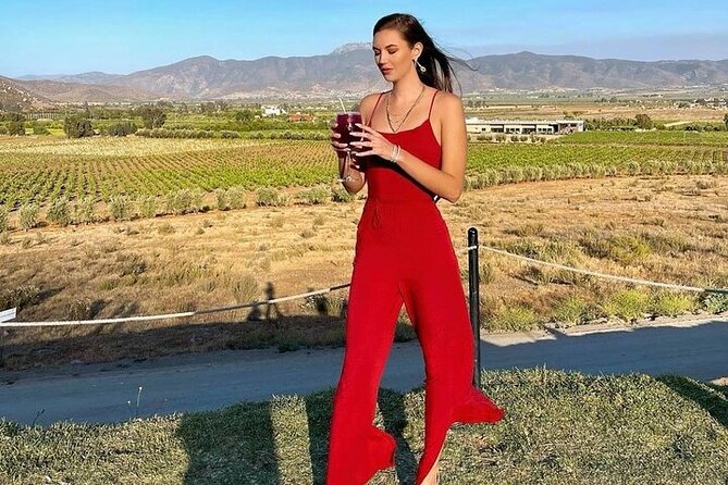 All-Inclusive Private Wine Tour in Baja - The Big Idea: A Private Baja Wine Day That Feels Organized