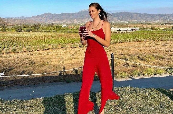 All-Inclusive Private Wine Tour in Baja - Stop 1: La Fonda Brunch on the Coast (45 Minutes)