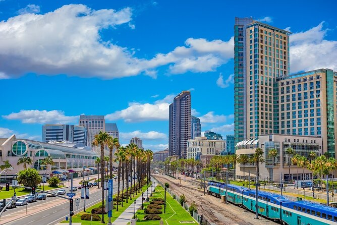 Arrival Private Transfer: San Diego Airport SAN to San Diego in Luxury SUV - Who This Transfer Suits Best (and Who Might Skip It)