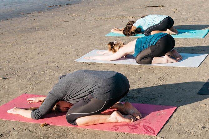 Beach Yoga in San Diego - The Main Event: A Fun, Energetic Hour of Yoga