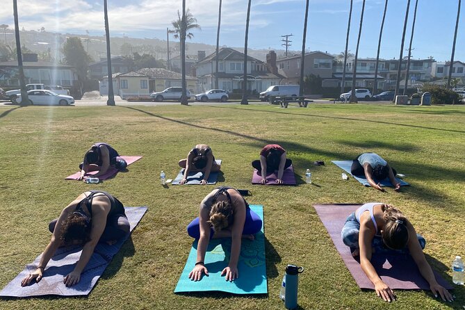 Beach Yoga in San Diego - Price and Value: Is $45 Actually Fair?