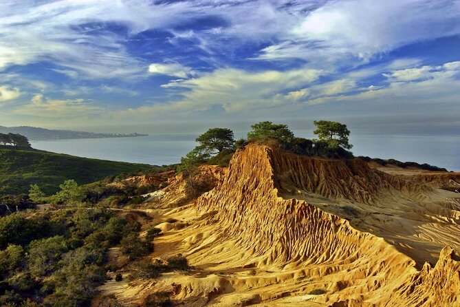 Beaches & Bluffs San Diego's Ultimate Coastal Driving Tour - Key Highlights You’ll Feel Right Away