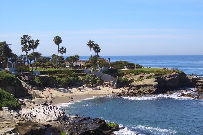 Beaches & Bluffs San Diego's Ultimate Coastal Driving Tour - Torrey Pines Gliderport: Paragliders, Cliff Views, and a Tandem-Flight Moment