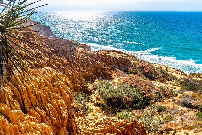 Beaches & Bluffs San Diego's Ultimate Coastal Driving Tour - Torrey Pines State Beach: Fast Stop, Big-View Payoff