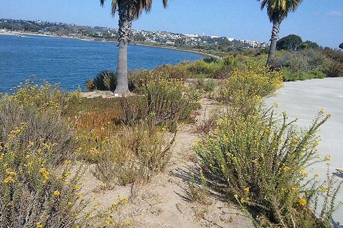 Bike Around San Diego Bay to the Ocean - The timing (2–3 hours) and why the rest of the day is yours