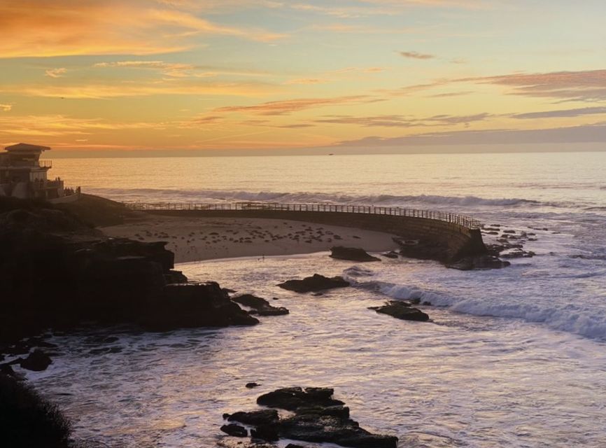 Cali Dreaming Electric Bike Tour of La Jolla & Pacific Beach - Children’s Pool: a shared shoreline for humans and seals