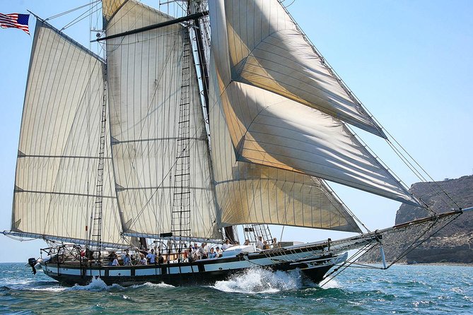 Catamaran Sailing Cruise on San Diego Bay for up to 6 Guests - Views on San Diego Bay: why a catamaran changes the experience