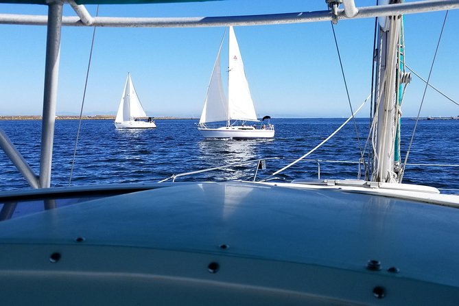 Catamaran Sailing Cruise on San Diego Bay for up to 6 Guests - Price and value: when $750 per group works best