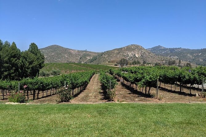 Chauffeured Adventure to Local San Diego Vineyards - The chauffeured part: you gain freedom without losing the plot