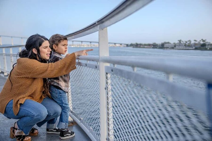 City Cruises San Diego: Best of the Bay Scenic Harbor Tour - Point-blank military viewing: Navy bases, the surface fleet, and why it’s worth it
