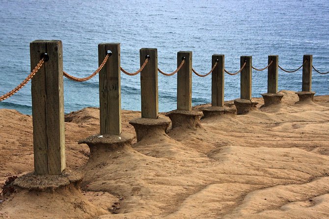 Coastal Beauty - Private Sunset & Night Photography Tour - Ellen Browning Scripps Park: Birds, Sea Lions, and a Nature Walk