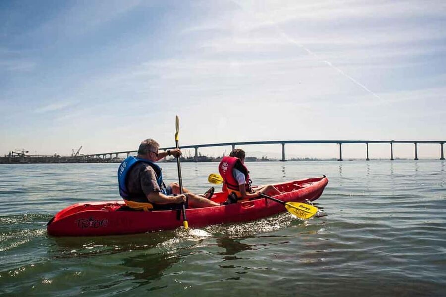 Coronado Guided Kayak Tour 90-Min - Downtown skyline views: when you want photos without the crowds