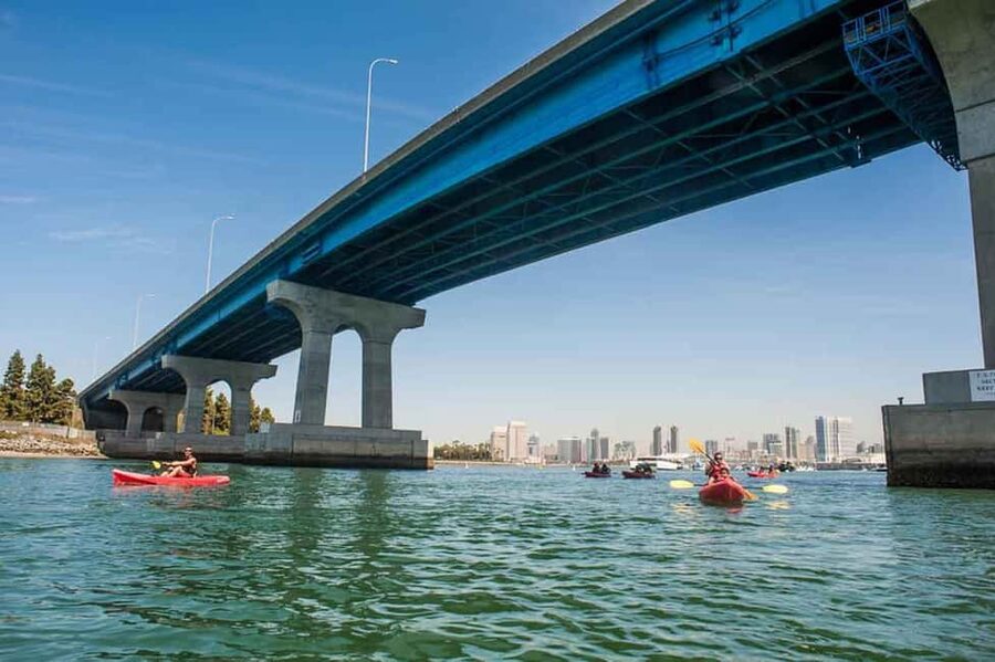 Coronado Guided Kayak Tour 90-Min - Price and value: why $89 can feel fair here