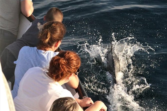 Dolphin and Whale Watching Sunset Cruise - The best part of the cruise: sunset views that don’t feel rushed