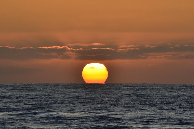 Dolphin and Whale Watching Sunset Cruise - How $71 fits into San Diego value