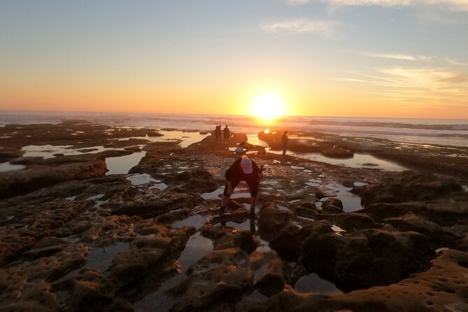 Explore San Diego Tide Pools with a Marine Biologist - SnorkelMatt’s marine biology approach: how the hour stays fun