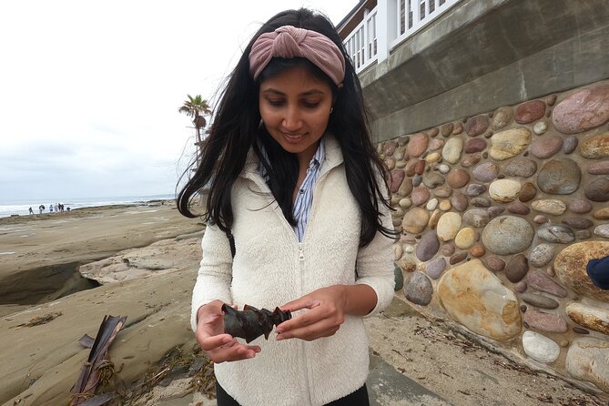 Explore San Diego Tide Pools with a Marine Biologist - The no-touch, no-collection rule: why it’s more than just policy