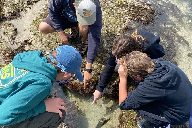 Explore San Diego Tide Pools with a Marine Biologist - What to wear: closed-toe shoes are non-negotiable