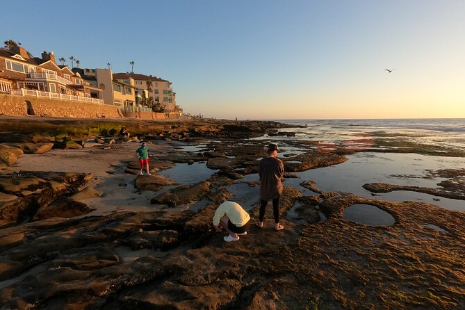 Explore San Diego Tide Pools with a Marine Biologist - Who this tour fits best in your travel plans