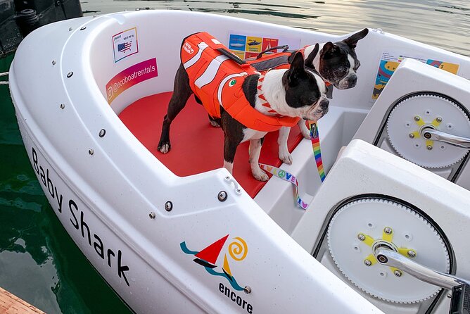 Glow Nightime Pedal Boat Rental in San Diego Bay - What you get onboard: capacity, life vests, and self-guided pacing