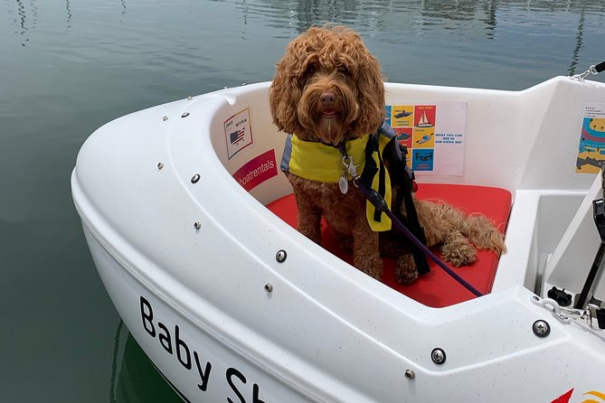 Glow Nightime Pedal Boat Rental in San Diego Bay - The ride itself: what your hour on the water feels like