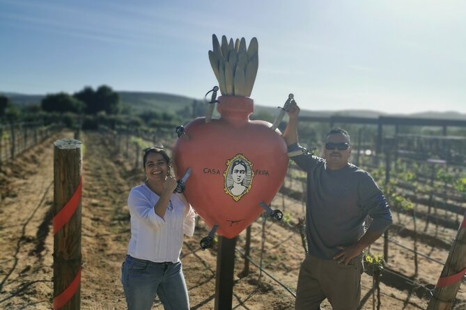 Grand Mexico Wine Country Tour from San Diego - Price and value: why $323 can make sense on this kind of day