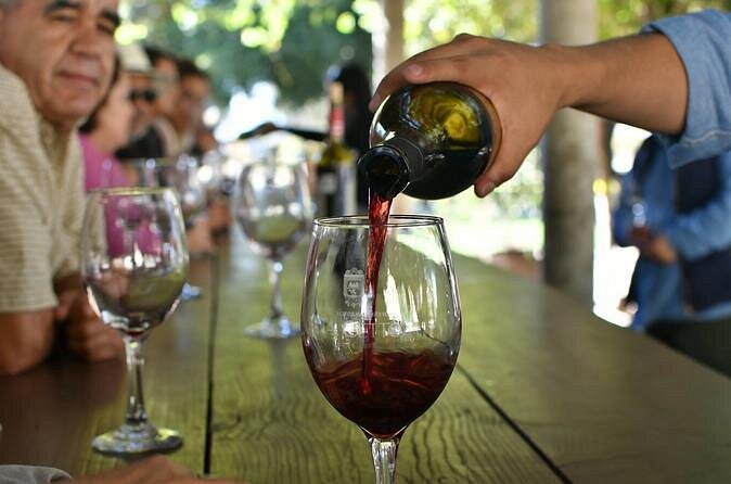 Grand Mexico Wine Country Tour from San Diego - Tasting without trouble: staying comfortable and in control