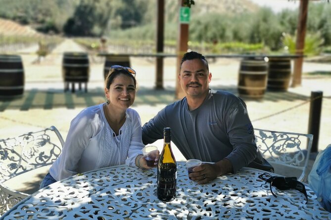 Grand Mexico Wine Country Tour from San Diego - All-inclusive wine and food: what that really buys you