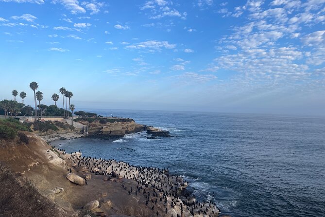 Guided Historic La Jolla Village Walking Tour - Stop 2: La Jolla history from American Indians to today