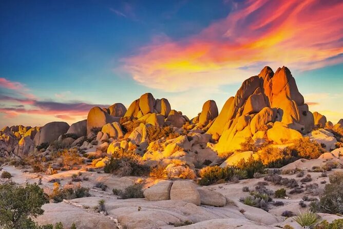 Joshua Tree NP Tour from San Diego (Private) - What’s included (and why it matters): water, snacks, AC, entrance