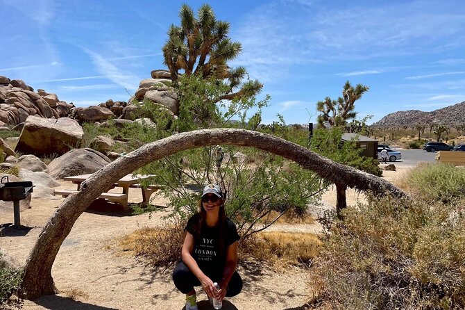 Joshua Tree NP Tour from San Diego (Private) - Who this Joshua Tree private tour is best for
