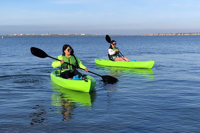 Kayak on the San Diego Bay - Eco-Friendly? The Real Meaning for This Tour