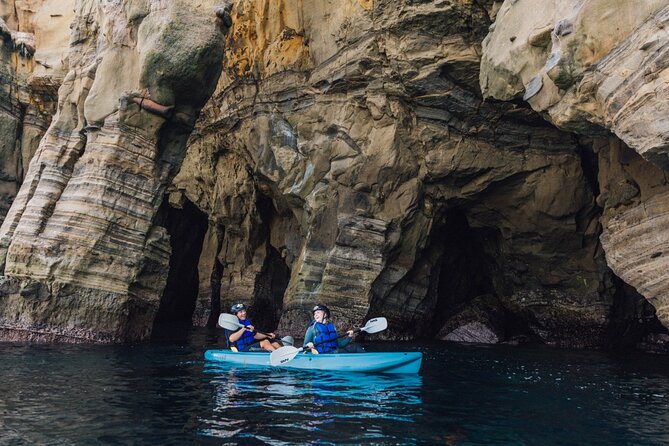Kayak Rental for Two People in La Jolla - Key things that make this La Jolla kayak rental worth it