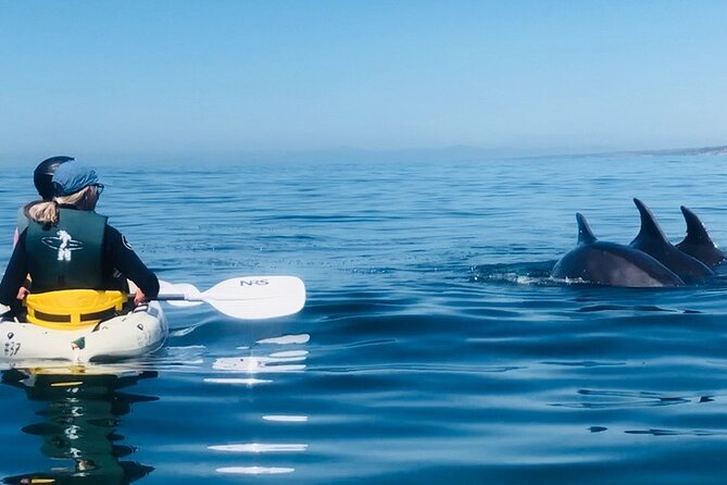 Kayak Rental for Two People in La Jolla - The first lesson: safety briefing and the Sea Caves rule