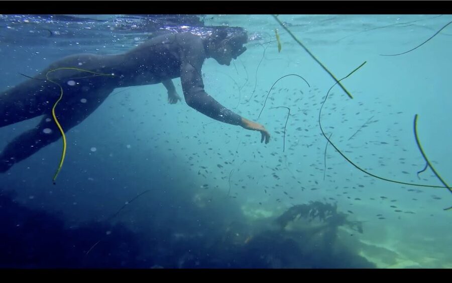 La Jolla: 2.5-Hour Kayak and Snorkel Tour - Guides, instruction, and keeping the day fun