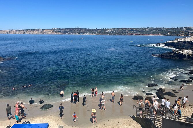 La Jolla E-Scooter Tour with Photos Included - Children’s Pool: when sea lions become the main event