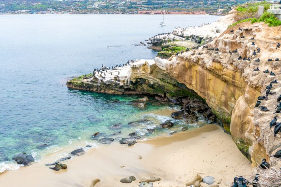 La Jolla Food & Drink Walking Tour - Sip, Savor & Sea - The Guided History Walk: Pioneers, Art, and Life Sciences Mentions